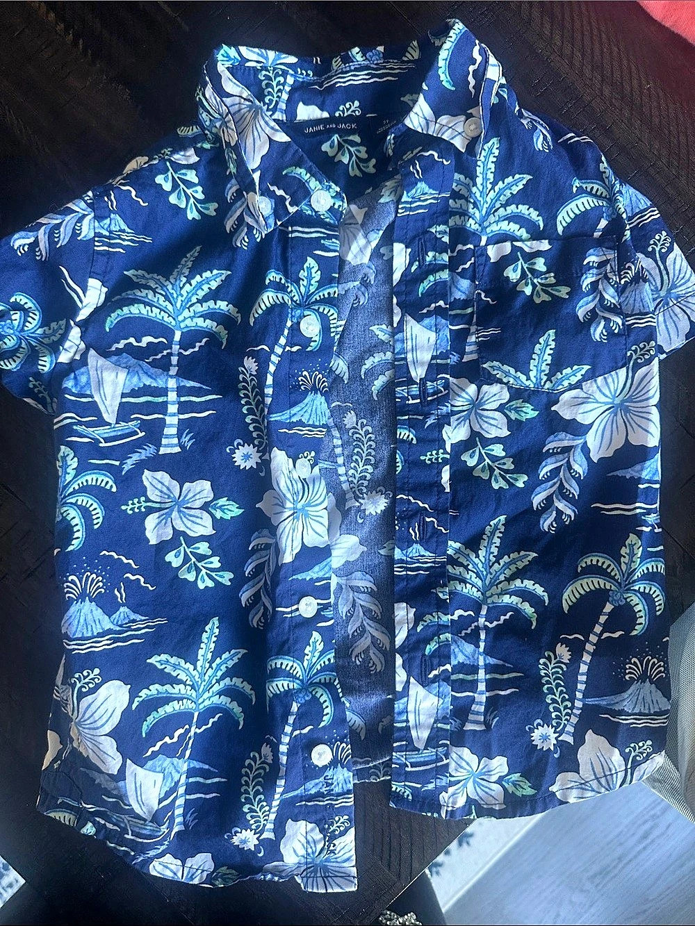 Janie and Jack Tropical Palm Tree Button-Down Shirt Boys 2T